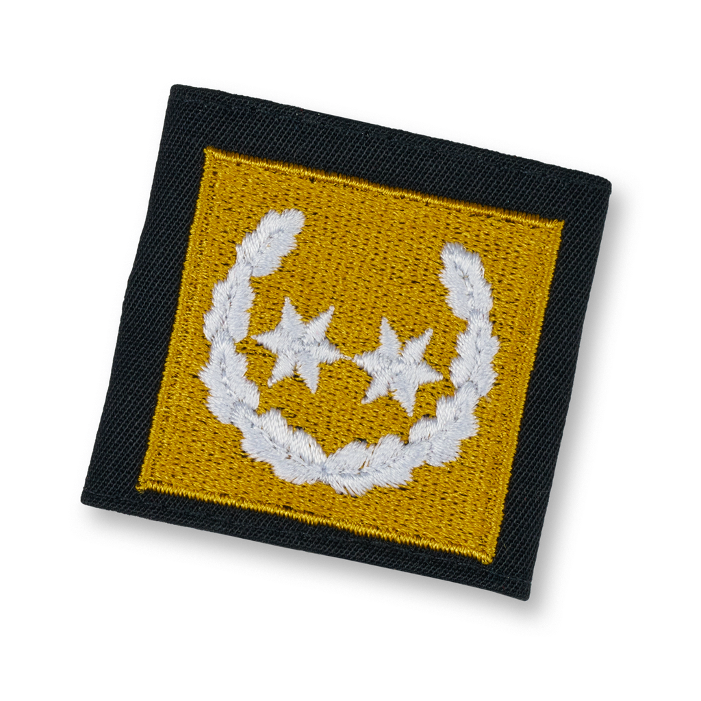 Rettungshundbrigarde Vizepräsident 