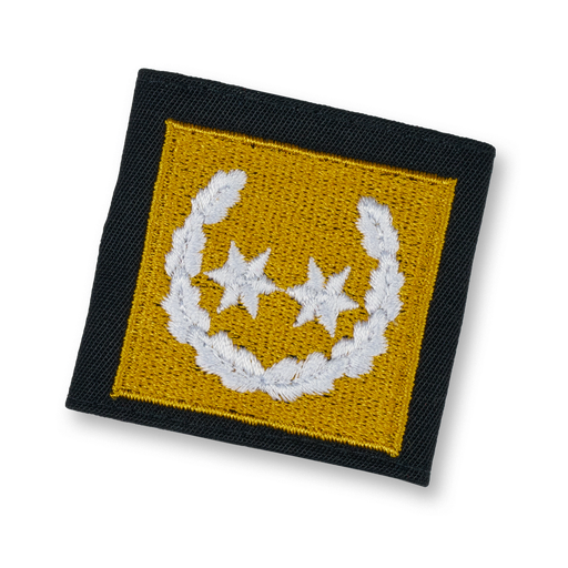 [114198] Brigade canine de sauvetage Vice-président 